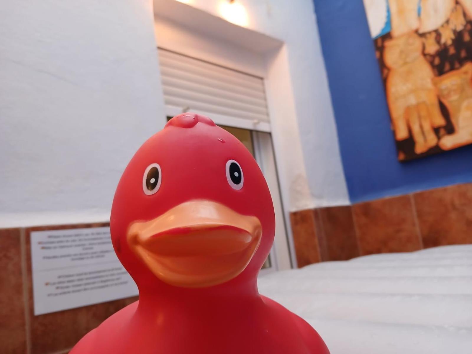 The Beach Hut With Lazy Spa アドラ エクステリア 写真